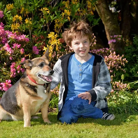 招待所 Der Eichenhof Hellwege