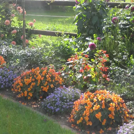 Gæstehus Der Eichenhof Hellwege