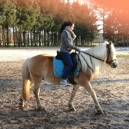 Der Eichenhof Hellwege