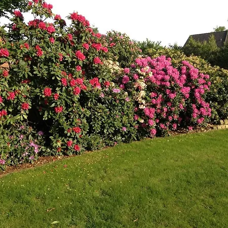 Gæstehus Der Eichenhof Hellwege
