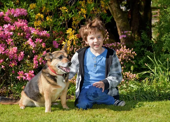 Pensión Der Eichenhof Hellwege